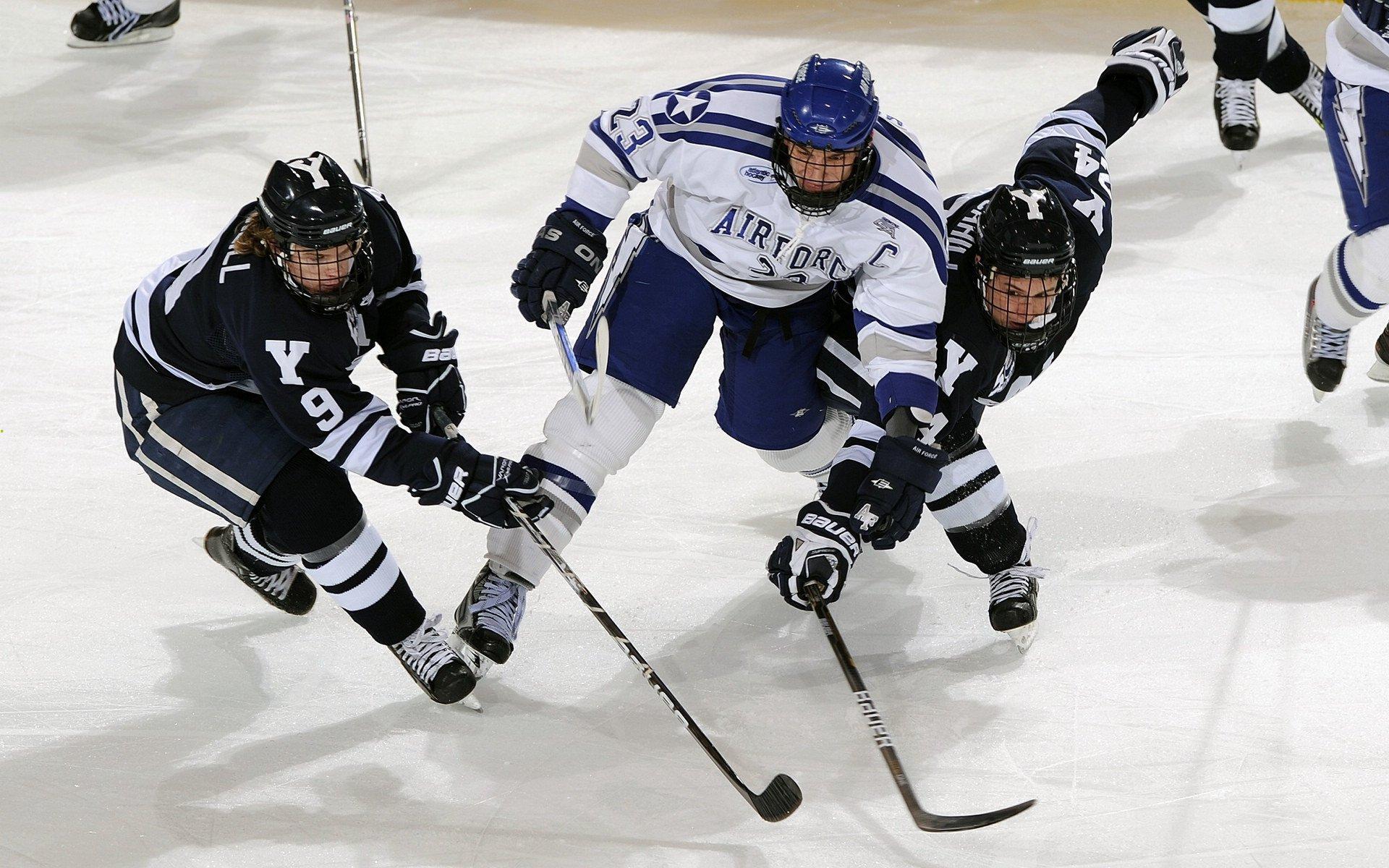 王者归来！卫冕冠军强势登顶，再创历史辉煌